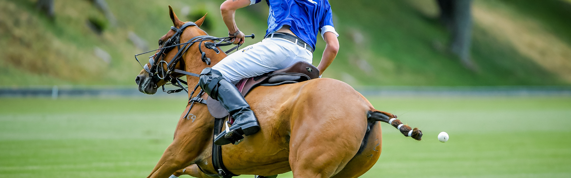 Horse sales polo boots